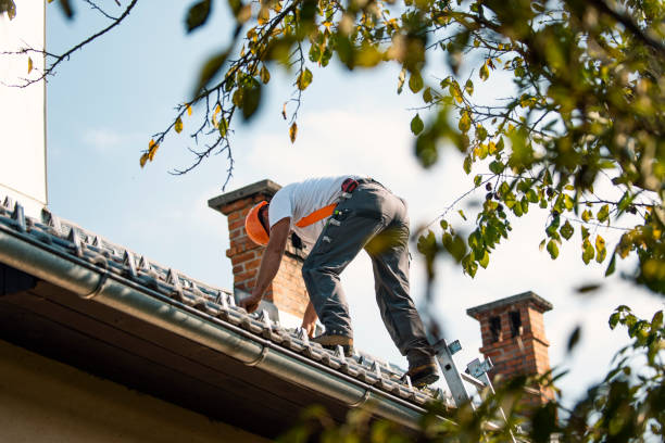 Best Roof Ventilation Installation  in Sumner, WA