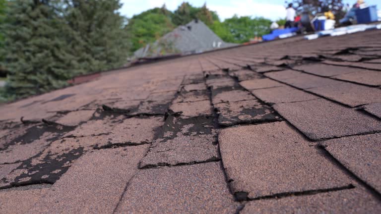 Best Roofing for New Construction  in Sumner, WA